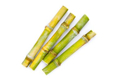 Beyaz zemin üzerine şeker kamışı.