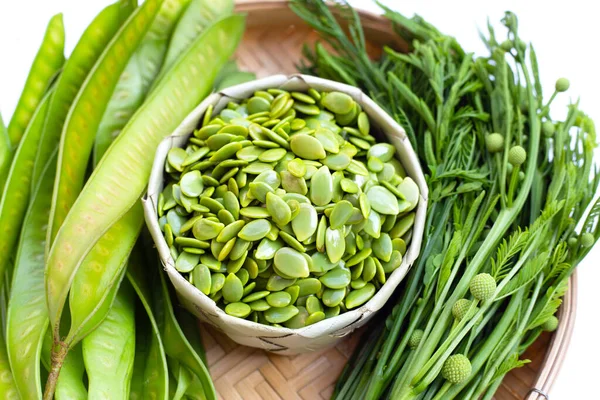 Unga Frukter Frön Blad Med Blomma Leucaena Leukocephala Isolerad Vit — Stockfoto