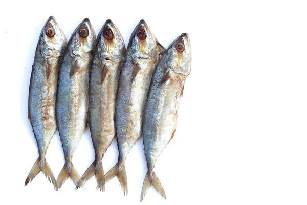 Beyaz Arka Plan Üzerinde Çiğ Balık — Stok fotoğraf