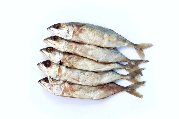 Salted Fish White Background — Stock Photo, Image