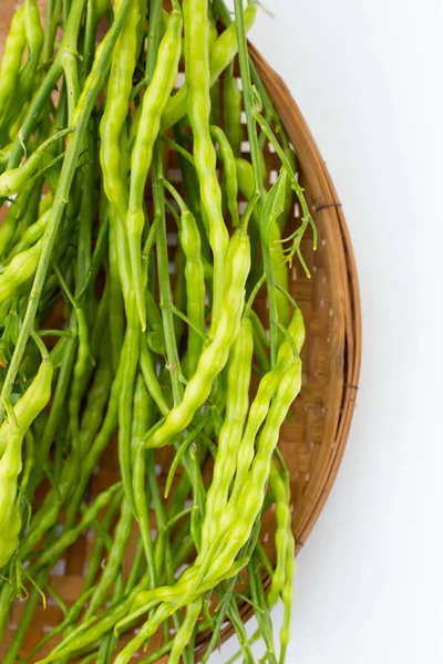 Rat-tailed radish. Fresh organic vegetables