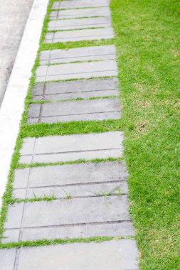 Çimento yolu ile taze çimen