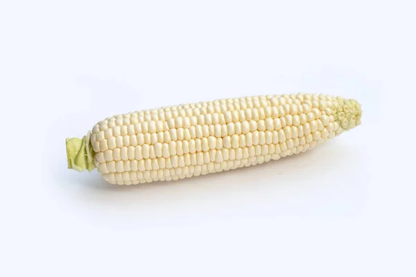 白底北海道奶玉米 — 图库照片