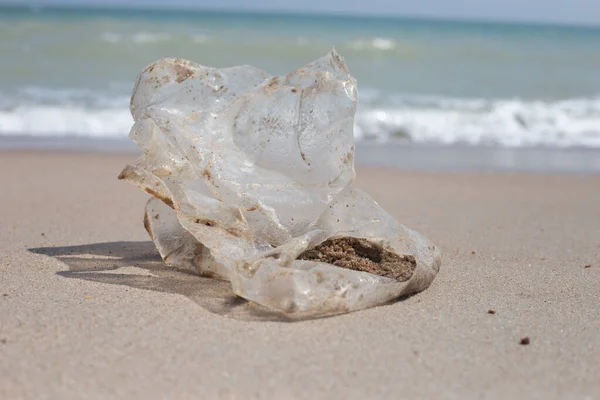 Plastic Bag Pollution Beach — Photo