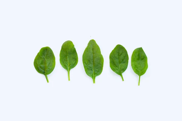 Spinatblätter Extrem Nährstoffreiches Gemüse — Stockfoto