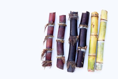 Beyaz zemin üzerine şeker kamışı.