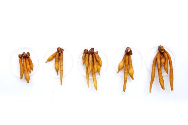 Beyaz arkaplanda parmak kökü.