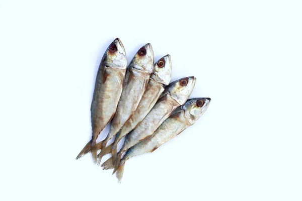 Peixe Salgado Sobre Fundo Branco — Fotografia de Stock