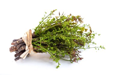 Neem leaves with flowers on white background.