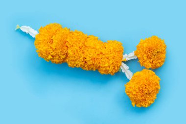 Güzel turuncu kadife çiçeği çelengi