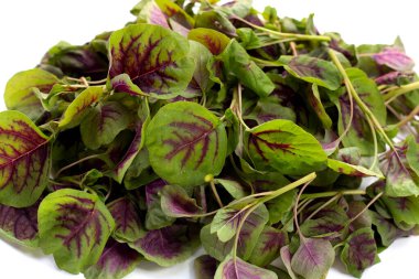 Fresh green red amaranth. Organic vegetables