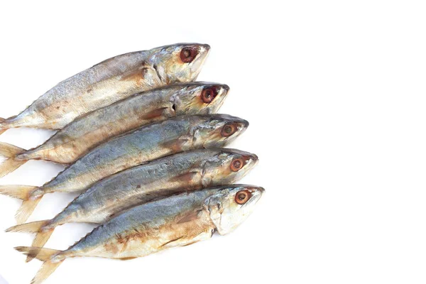 Gesalzener Fisch Auf Weißem Hintergrund — Stockfoto