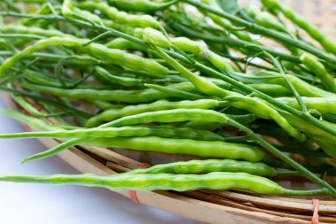 Rat-tailed radish. Fresh organic vegetables