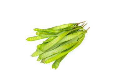 Leucaena löcocephala meyvesi beyaz arkaplanda izole