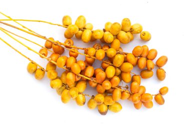 Date palm fruit on white background.