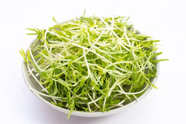Water spinach sprouts. Organic vegetables