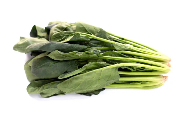 Fresh Spinach White Background — Stock Photo, Image