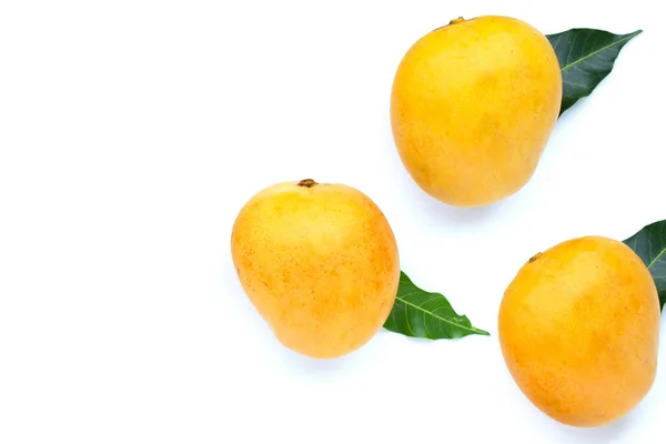 stock image Tropical fruit, Mango  on white background. Top view