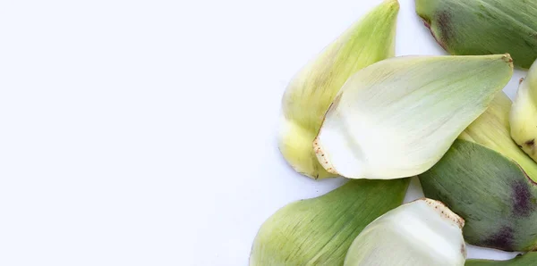 Fresh Artichoke Petals White Background — Stockfoto