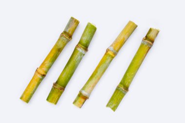 Beyaz zemin üzerine şeker kamışı.