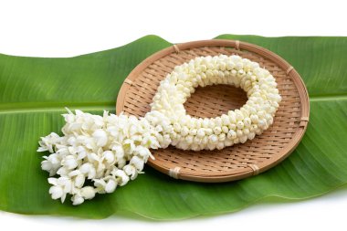 Tayland beyaz yasemin çiçeği çelengi