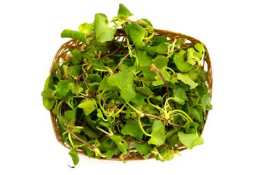 Gotu kola bitkisi veya Asya pennywort, Hint pennywort