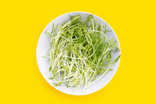 Water Spinach Sprouts Organic Vegetables — Stock Photo, Image