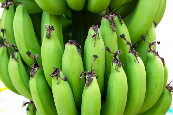 Φρούτα Μπανάνας Νωπές Πράσινες Μπανάνες — Φωτογραφία Αρχείου