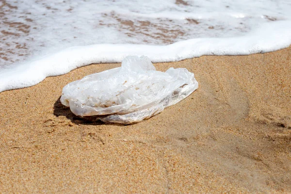 Plastic Bag Pollution Beach — Photo