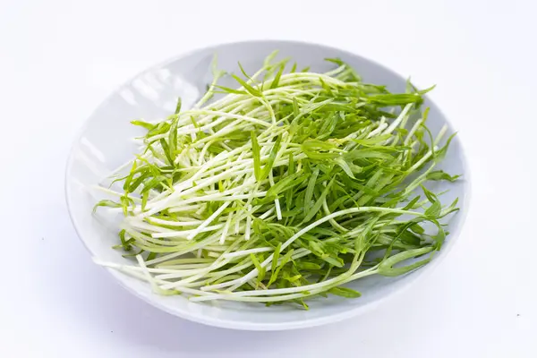 Water Spinach Sprouts Organic Vegetables — Fotografia de Stock