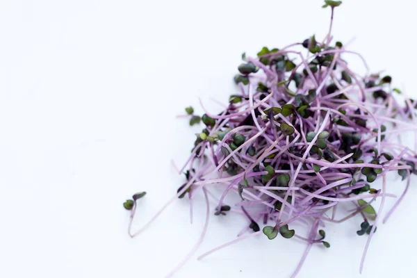 stock image Organic red cabbage sprouts on white background.