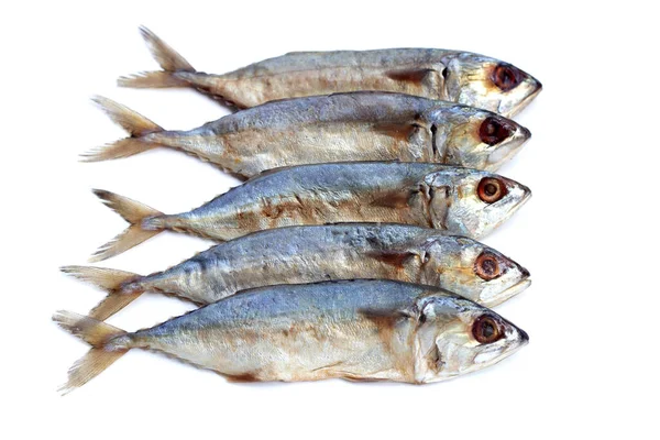 Соленая Рыба Белом Фоне — стоковое фото