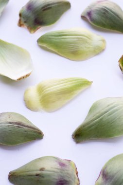 Fresh artichoke petals on white background