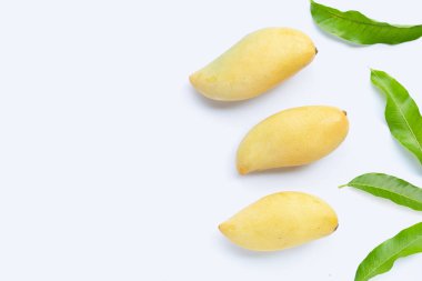 Tropik meyve, beyaz arka planda mango. Üst görünüm