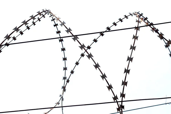 Barbed Wires Sky Wired Fence — Zdjęcie stockowe