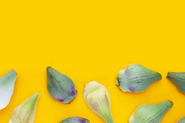 stock image Fresh artichoke petals on yellow background