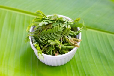 Muz yaprağında taze demirhindi yaprakları