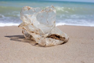 Plastic bag pollution on the beach