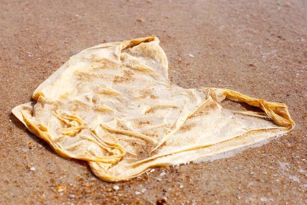 Plastic Bag Pollution Beach — Fotografia de Stock