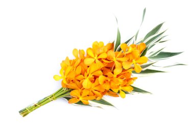 Buda 'ya dua etmek için güzel Tayland buketi.