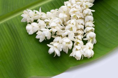 Tayland beyaz yasemin çiçeği çelengi