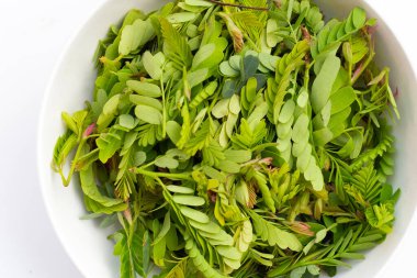 Beyaz arkaplanda genç demirhindi yaprakları.