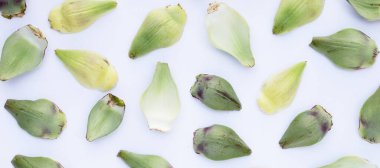 Fresh artichoke petals on white background