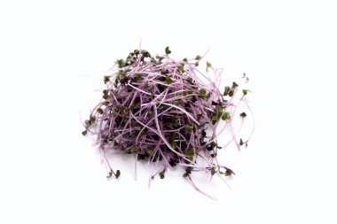 Organic red cabbage sprouts on white background.