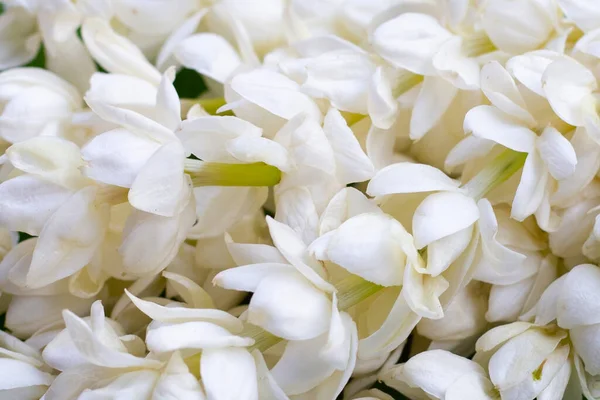 Thai white jasmine flower garland