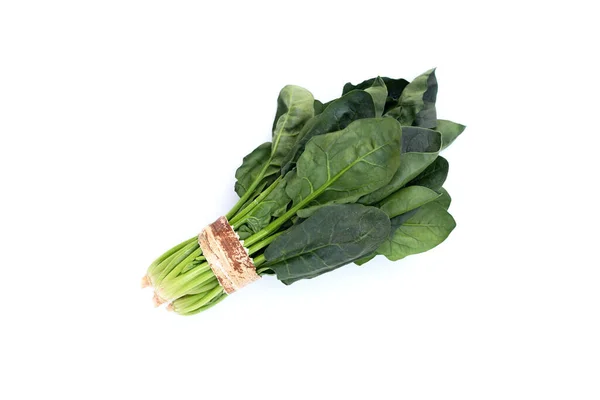 白色背景的新鲜菠菜 — 图库照片