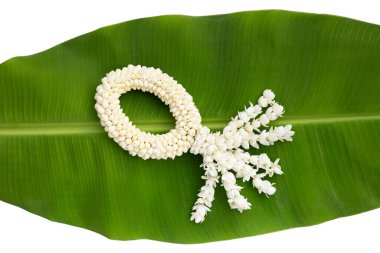 Tayland beyaz yasemin çiçeği çelengi