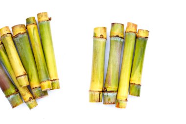 Mavi arka planda şeker kamışı.