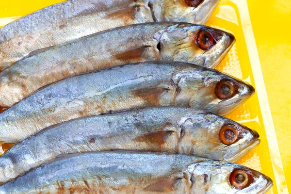 Ryby Solone Żółtym Tle — Zdjęcie stockowe