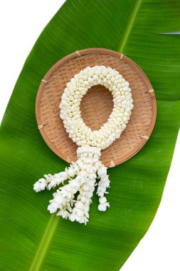 Tayland beyaz yasemin çiçeği çelengi